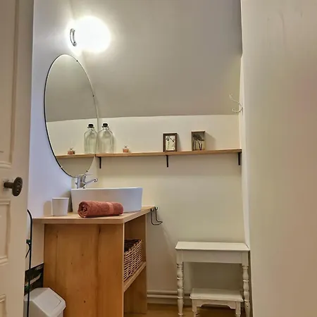 De Charme Chataigneraie - 15 Min D'aurillac Roannes-Saint-Mary